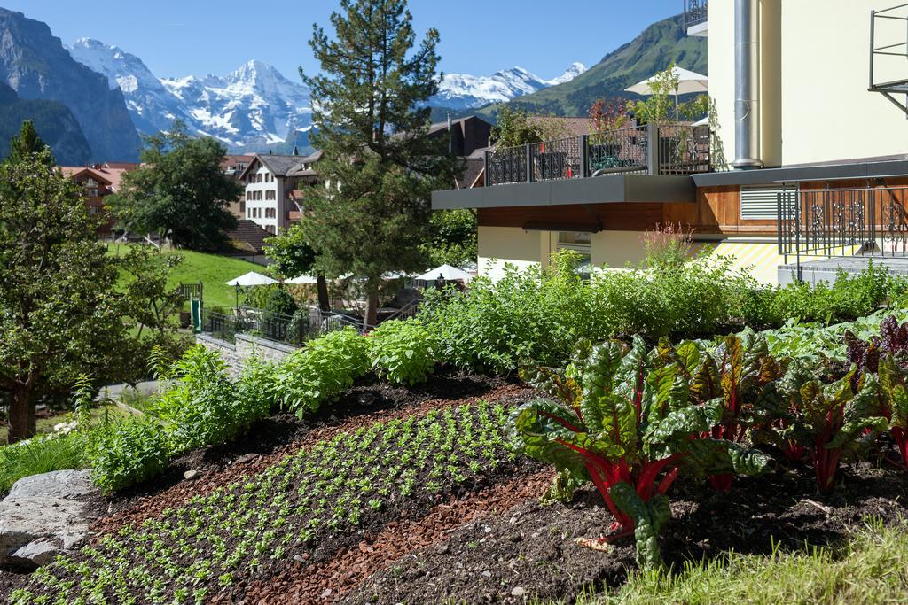 Hotel Schoenegg Wengen Dış mekan fotoğraf